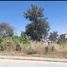  Land for sale in Guadalajara, Jalisco, Guadalajara