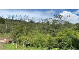  Terreno (Parcela) en venta en Girardota, Antioquia, Girardota