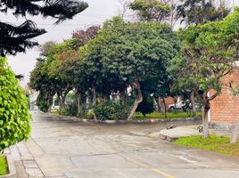  Grundstück zu verkaufen in Lima District, Lima, Lima District, Lima, Lima, Peru