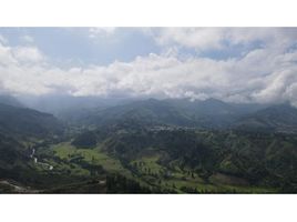  Terreno (Parcela) en venta en Quindio, Salento, Quindio