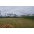  Land for sale in Flandes, Tolima, Flandes