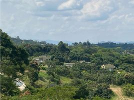  Land for sale in La Mesa, Cundinamarca, La Mesa