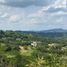  Land for sale in La Mesa, Cundinamarca, La Mesa