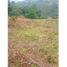  Land for sale in La Mesa, Cundinamarca, La Mesa