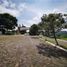  Land for sale in Venustiano Carranza, Michoacan, Venustiano Carranza