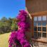 2 Habitación Casa en venta en Tapalpa, Jalisco, Tapalpa