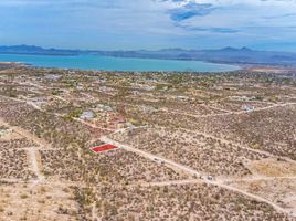 在Baja California Sur出售的 土地, La Paz, Baja California Sur