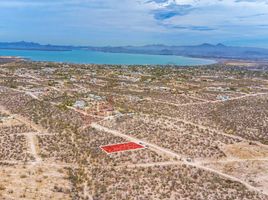 在Baja California Sur出售的 土地, La Paz, Baja California Sur