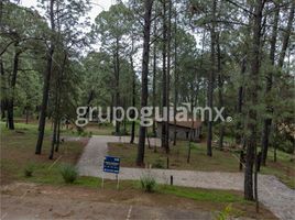  Terrain for sale in Jalisco, Tapalpa, Jalisco