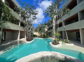 Studio Wohnung zu vermieten in Cozumel, Quintana Roo, Cozumel