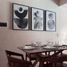 Studio Wohnung zu vermieten in Cozumel, Quintana Roo, Cozumel