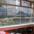 3 Habitación Apartamento en venta en Cuajimalpa De Morelos, Ciudad de México, Cuajimalpa De Morelos
