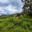  Land for sale in Barbosa, Antioquia, Barbosa