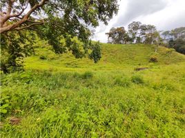  Terreno (Parcela) en venta en Barbosa, Antioquia, Barbosa