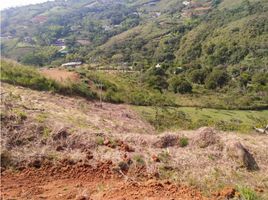  Grundstück zu verkaufen in Jamundi, Valle Del Cauca, Jamundi, Valle Del Cauca