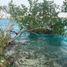  Terreno (Parcela) en venta en Othon P Blanco, Quintana Roo, Othon P Blanco