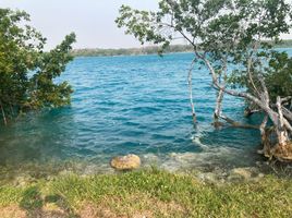  Terreno (Parcela) en venta en Othon P Blanco, Quintana Roo, Othon P Blanco