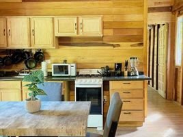 1 Bedroom Apartment for rent in Cozumel, Quintana Roo, Cozumel, Quintana Roo