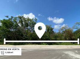  Grundstück zu verkaufen in Yaxkukul, Yucatan, Yaxkukul