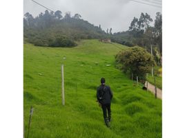  Grundstück zu verkaufen in Sesquile, Cundinamarca, Sesquile