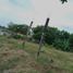  Land for sale in Tolu, Sucre, Tolu