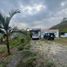 4 Bedroom House for sale in Guarne, Antioquia, Guarne