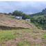  Terreno (Parcela) en venta en Dosquebradas, Risaralda, Dosquebradas