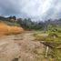  Land for sale in Rionegro, Antioquia, Rionegro