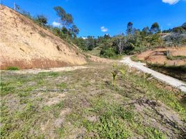  Land for sale in Rionegro, Antioquia, Rionegro