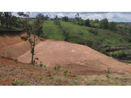  Terreno (Parcela) en venta en El Carmen De Viboral, Antioquia, El Carmen De Viboral