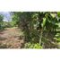  Terrain for sale in Dolega, Chiriqui, Dolega, Dolega