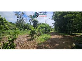  Land for sale in Chiriqui, Dolega, Dolega, Chiriqui