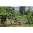  Land for sale in Chiriqui, Dolega, Dolega, Chiriqui