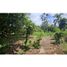  Terrain for sale in Dolega, Chiriqui, Dolega, Dolega