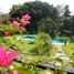 5 Schlafzimmer Haus zu verkaufen in Cuernavaca, Morelos, Cuernavaca
