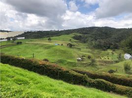 3 Habitación Casa en venta en Guarne, Antioquia, Guarne