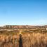  Land for sale in Punilla, Cordoba, Punilla