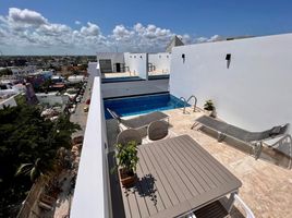 Studio Appartement zu vermieten in Playa del Carmen, Cozumel, Cozumel