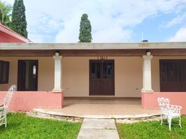 Maison 3 chambre à vendre à Conkal, Yucatan, Conkal