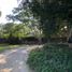  Land for sale in Seye, Yucatan, Seye