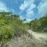  Land for sale in Seye, Yucatan, Seye