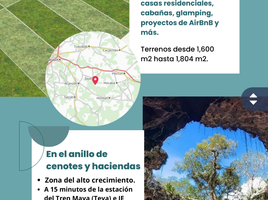  Grundstück zu verkaufen in Seye, Yucatan, Seye