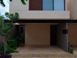 2 Bedroom Condo for rent in Merida, Yucatan, Merida, Yucatan