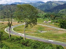  Land for sale in Manizales, Caldas, Manizales