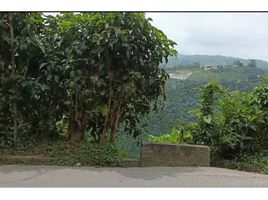  Land for sale in Caldas, Neira, Caldas