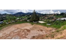  Terreno (Parcela) en venta en Guarne, Antioquia, Guarne