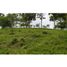 Terrain à vendre à Pereira, Risaralda, Pereira, Risaralda