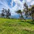  Terreno (Parcela) en venta en Copacabana, Antioquia, Copacabana