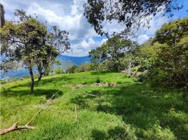  Terreno (Parcela) en venta en Copacabana, Antioquia, Copacabana