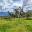  Terreno (Parcela) en venta en Copacabana, Antioquia, Copacabana